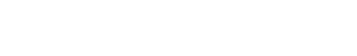 Drivesoft